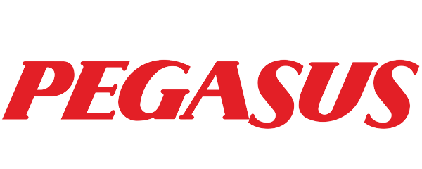 Pegasus
